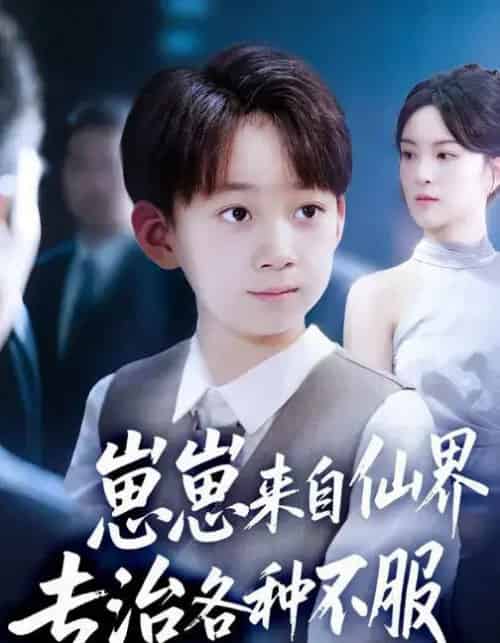 崽崽来自仙界专治各种不服 （80集全） 伍怡＆尚释逸-搜外项目网