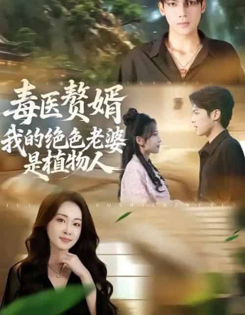 毒医赘婿：我的绝色老婆是植物人（81集全）邓忱玲＆韦家业-搜外项目网
