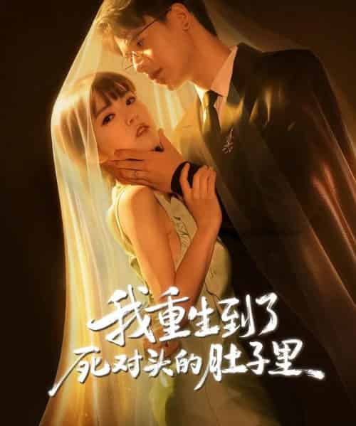 我重生到了死对头的肚子里(55集全)王浩博&李雪丹-搜外项目网