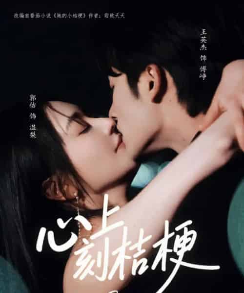 心上刻桔梗（90集）王英杰＆郭佑-搜外项目网