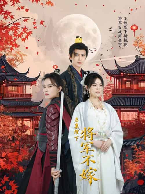 启禀陛下将军不嫁（72集）龚小钧-搜外项目网