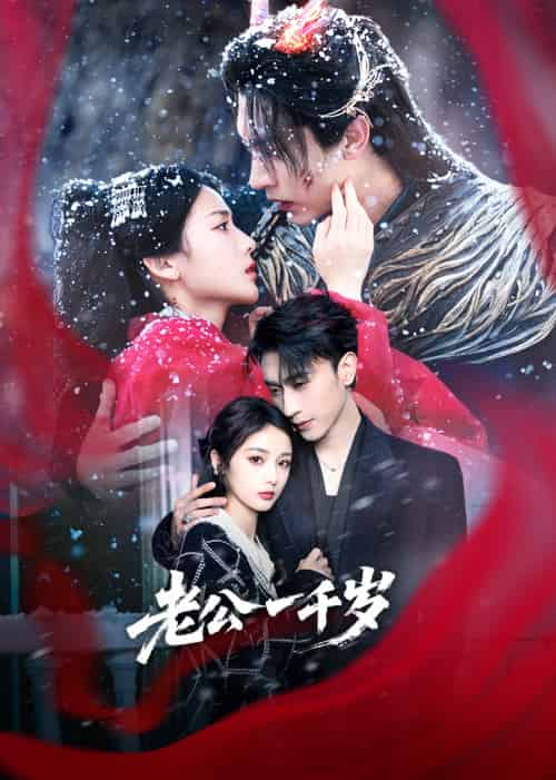 老公一千岁(61集)沉思&马倩倩-搜外项目网