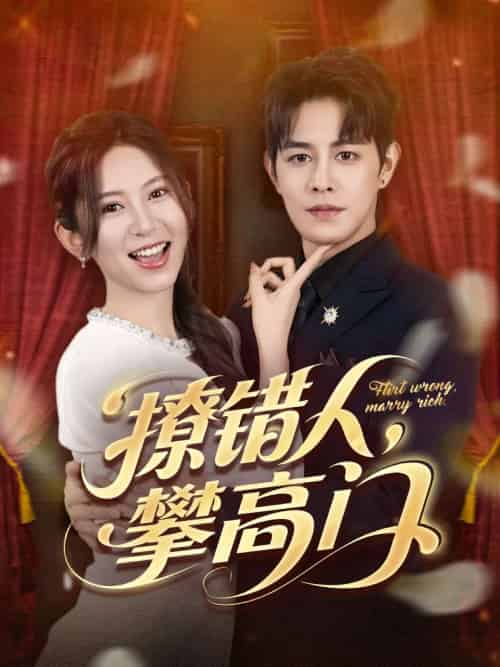 撩错人攀高门(73集)王朝阳&桉淇-搜外项目网