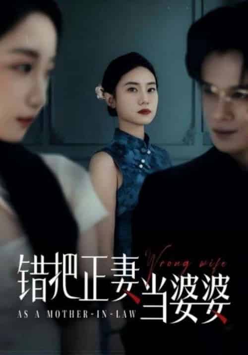 错把正妻当婆婆（46集）张英杰＆张耀尹-搜外项目网