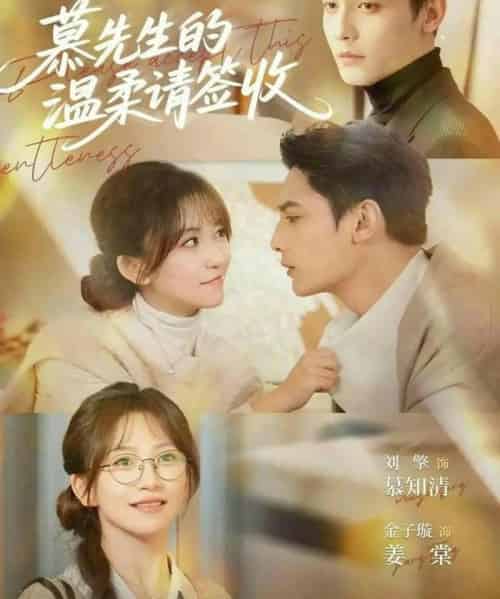 慕先生的温柔请签收(90集全)金子璇&刘擎-搜外项目网