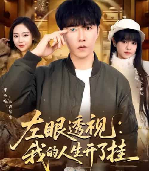 左眼透视：我的人生开了挂（80集全）邓靖＆祁圣翰-搜外项目网