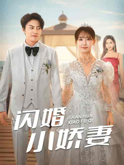 闪婚小娇妻（102集全）张磊＆房蕾-搜外项目网