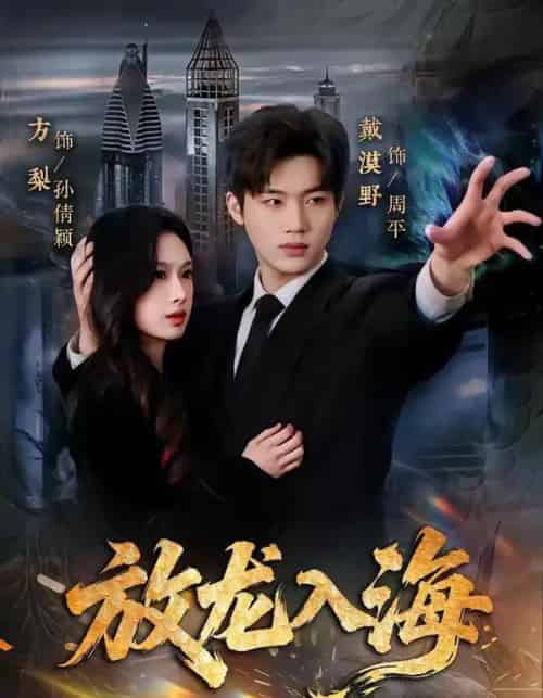 放龙入海（62集全）戴漠野＆方梨-搜外项目网