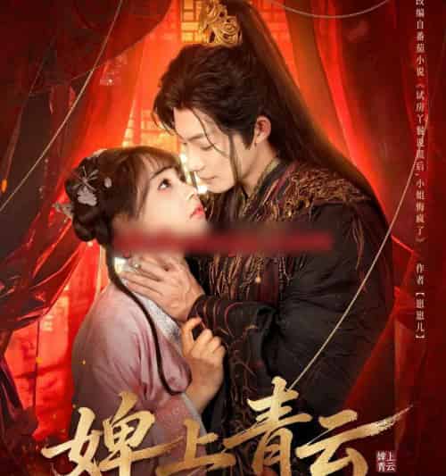 婢上青云（60集全）康讯＆李田园-搜外项目网