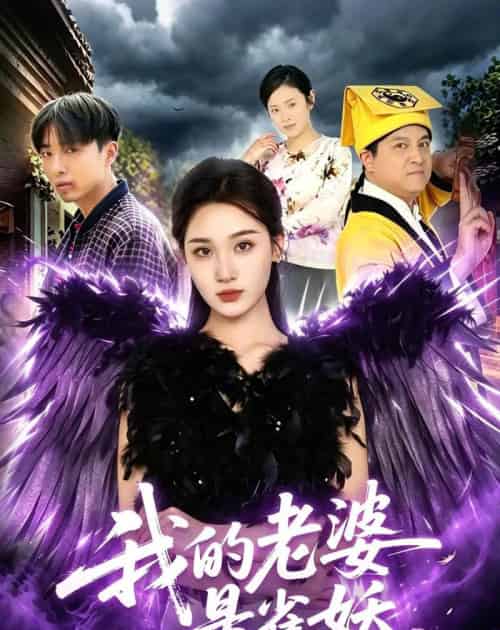 我的老婆是雀妖（60集全）理艺如＆辛一-搜外项目网