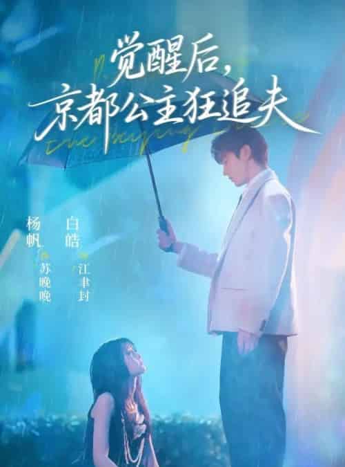 觉醒后，京都公主狂追夫（63集全）白皓＆杨帆-搜外项目网