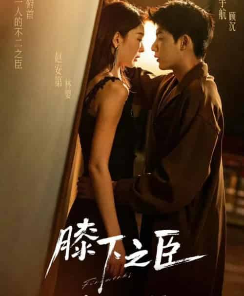 膝下之臣(56集全)赵安第&吴宇航-搜外项目网