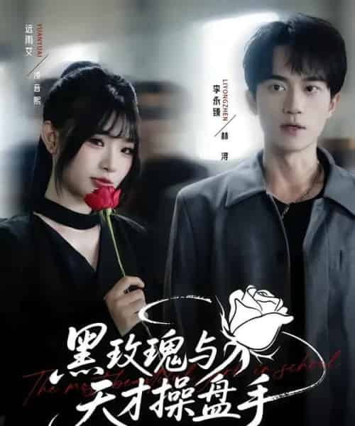 黑玫瑰与天才操盘手（81集全）远雨艾＆李永臻-搜外项目网