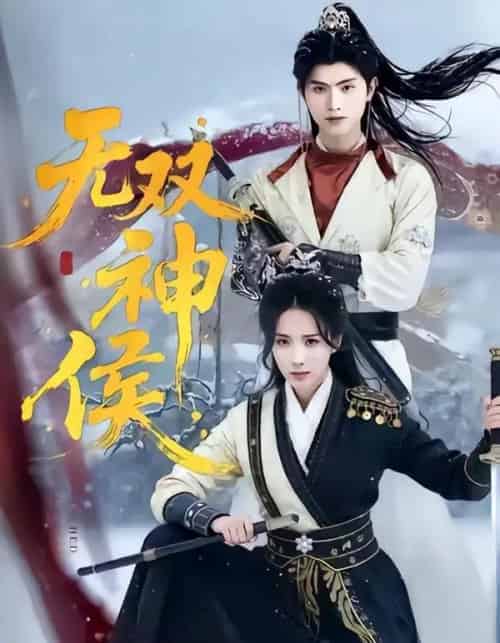 无双神侯（78集全）王宇峰＆李钊-搜外项目网