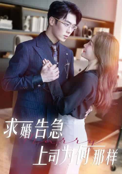 求婚告急上司为何那样（70集）孟璐＆卡戎-搜外项目网