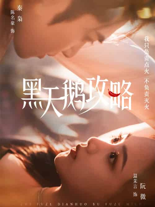 黑天鹅攻略(65集)陈名豪&温茉言-搜外项目网