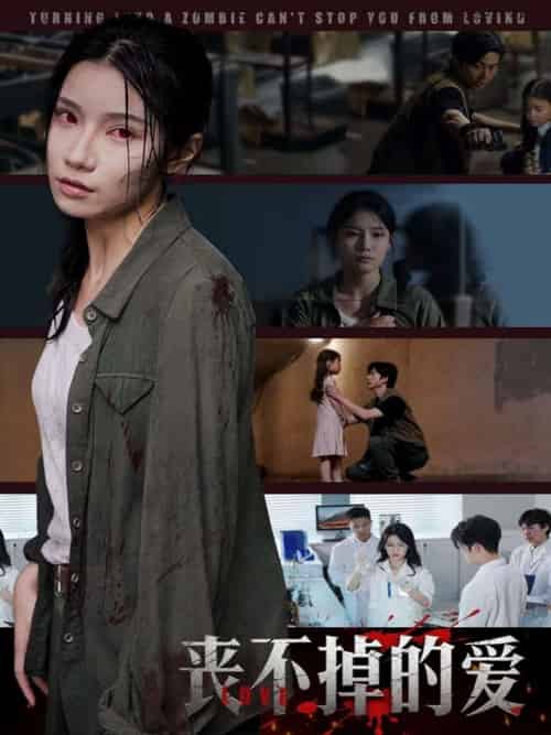 丧不掉的爱(62集)陈映含-搜外项目网