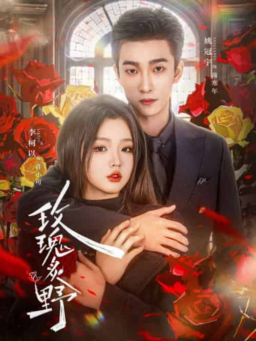 玫瑰炙野(59集)李柯以&姚冠宇-搜外项目网