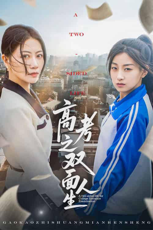 高考之双面人生(71集)王倩&刘婷-搜外项目网