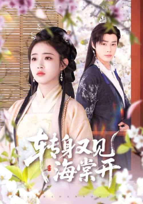 转身又见海棠开(79集)寿晓卿&缪佳汝-搜外项目网