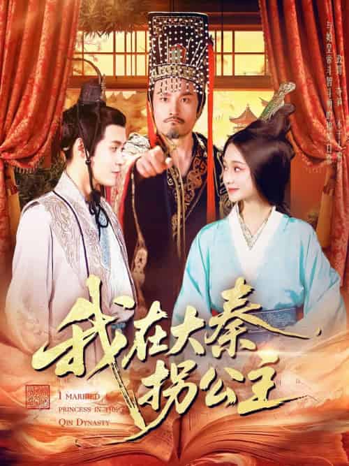 我在大秦拐公主（100集）韩雨轩-搜外项目网