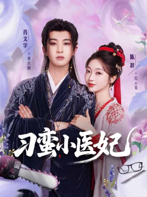 刁蛮小医妃（72集）肖文宇＆陈辞-搜外项目网