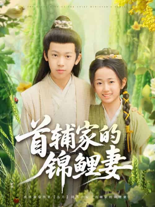 首辅家的锦鲤妻（82集）刘星辰＆杨景天-搜外项目网