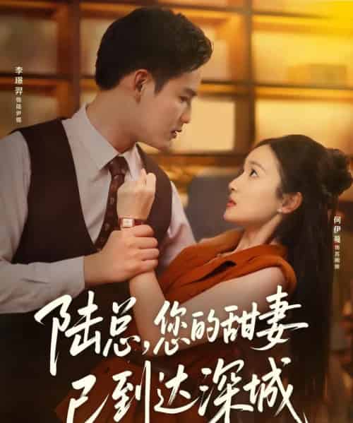 陆总您的甜妻已到达深城（62集）李璟羿＆何依蔓-搜外项目网
