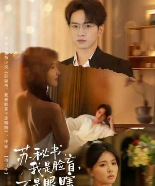 苏秘书，我是脸盲，不是眼瞎（80集全）朱礼仪＆张许焓-搜外项目网