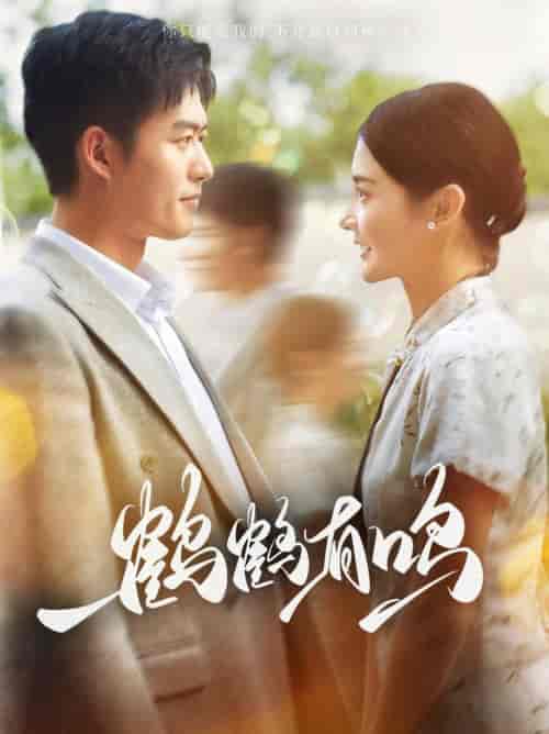 鹤鹤有鸣(87集全)舒童&觅七-搜外项目网