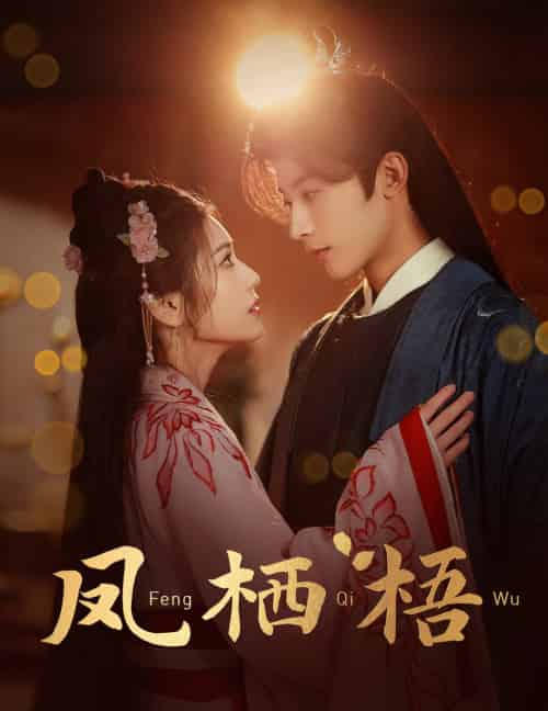 凤栖梧（60集全）林昱希＆林七月-搜外项目网