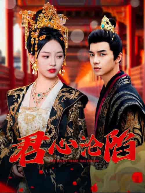 君心沦陷(95集全)黄子淇&李文茹-搜外项目网