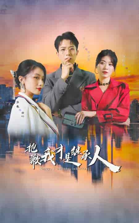 抱歉我才是继承人(31集全)傅汉源&诸玲颖-搜外项目网