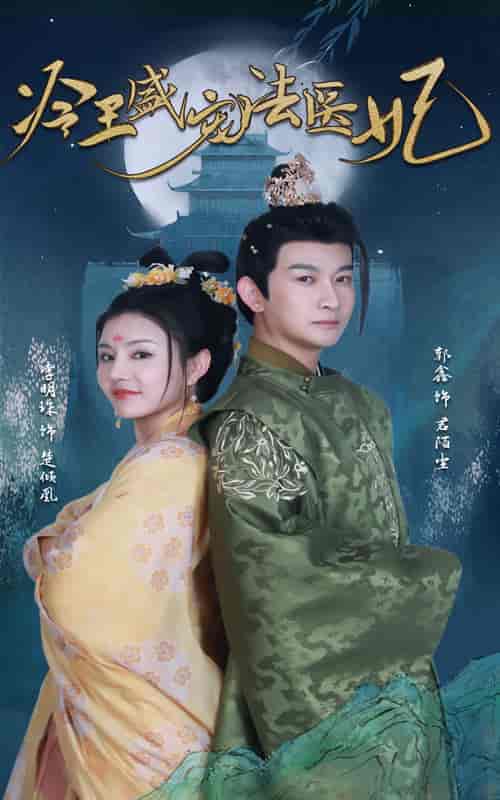 新版：冷王盛宠法医妃（94集）-搜外项目网