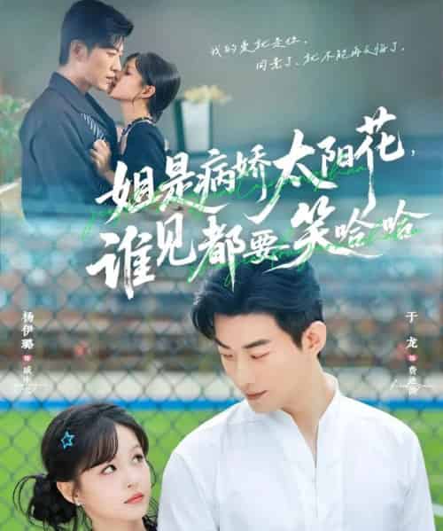 姐是病娇太阳花，谁见都要笑哈哈（66集全）于龙＆杨伊璐（杨咩咩）-搜外项目网