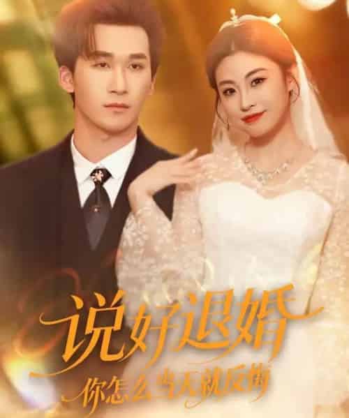 说好退婚你怎么当天就反悔(72集全)潘亚楠&薛薛-搜外项目网