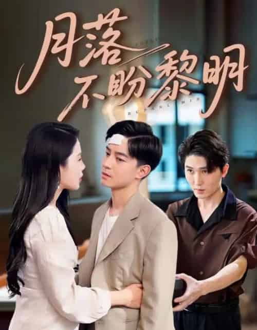 月落不盼黎明（64集全）丁海霞＆贺龙天-搜外项目网