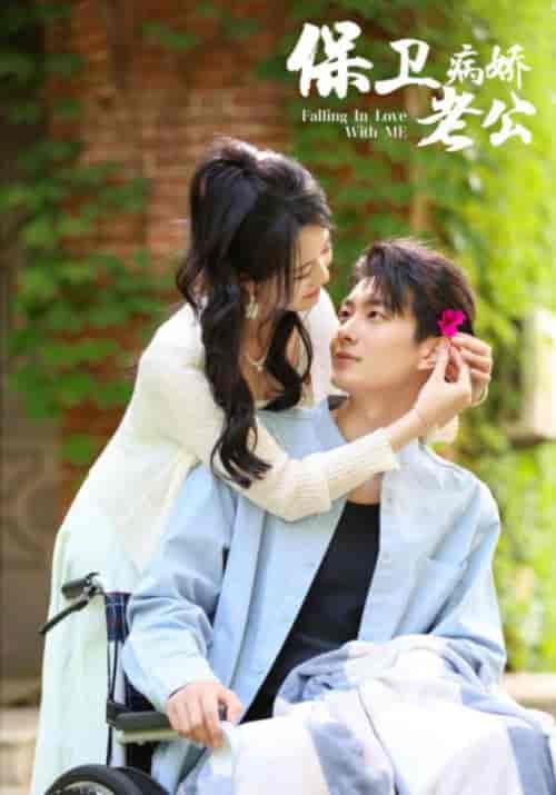 保卫病娇老公(82集)陈云汐-搜外项目网