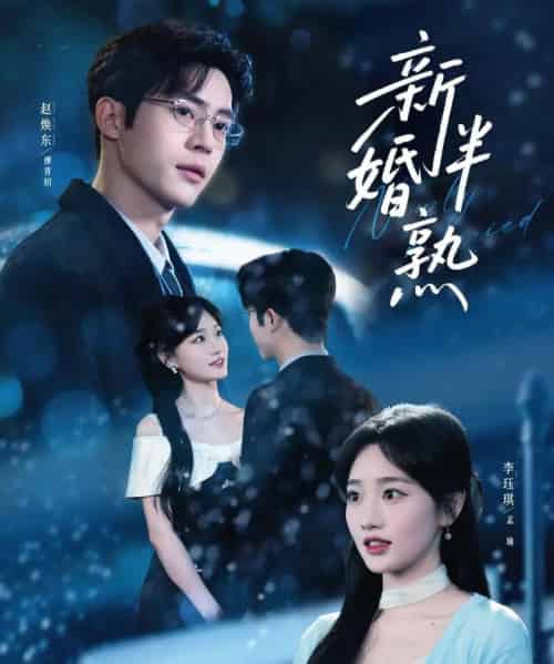 新婚半熟(68集全)赵焕东&李珏琪-搜外项目网