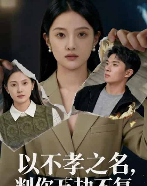 以不孝之名，判你万劫不复（41集全）Ai-搜外项目网