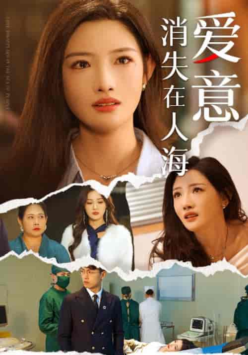 爱意消失在人海（60集全）许晏舟＆林冉-搜外项目网