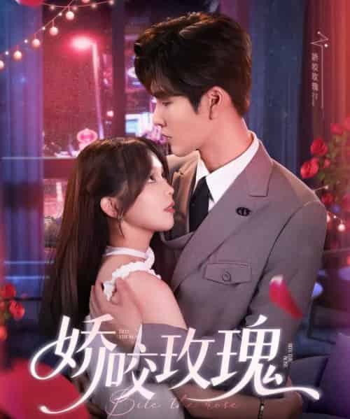 娇咬玫瑰（98集）张东梓＆鹿鸣-搜外项目网