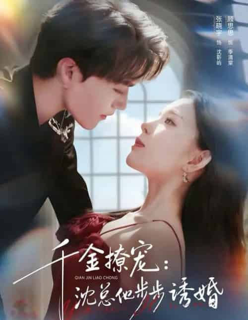 千金撩宠:沈总他步步诱婚(60集全)张晓宇&顾思思-搜外项目网