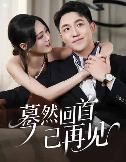 蓦然回首已再见（45集全）郭明雪＆刘月涛-搜外项目网