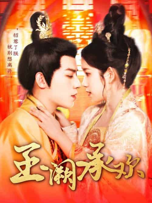 玉阙承欢（105集全）田杨＆曲笑孝-搜外项目网