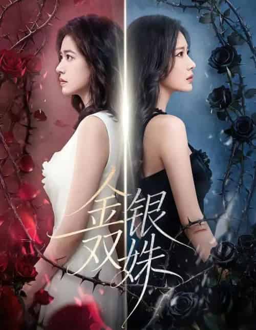 金银双姝(80集全)王艺霏&徐霄-搜外项目网