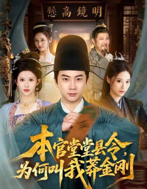 本官堂堂县令，为何叫我莽金刚（80集全）张玉轩＆赵亦菲-搜外项目网