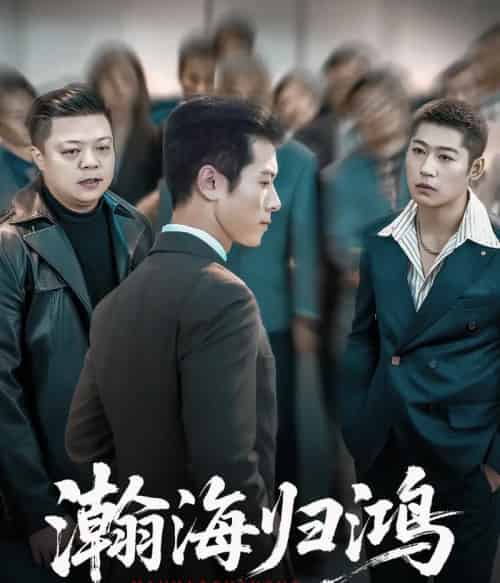 瀚海归鸿（74集全）林思彤＆赖艺-搜外项目网