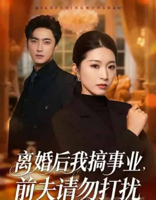 离婚后我搞事业，前夫请勿打扰（49集全）肖琳＆白浩＆穆晚-搜外项目网