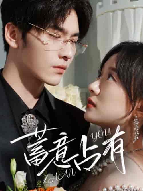 蓄意占有（72集全）王奕然＆侯呈玥-搜外项目网